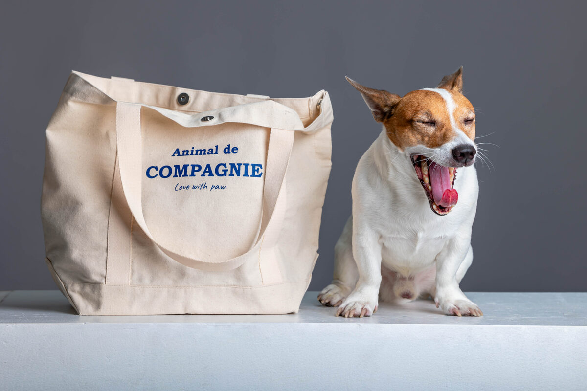 Carry-All-ADC Tote Natural — front view